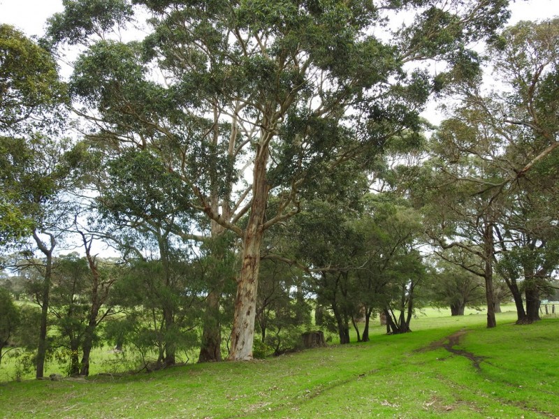 Lot 10 Kudardup Road, Kudardup WA 6290