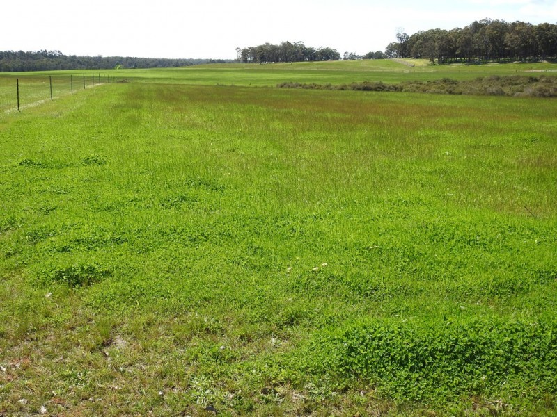 Lot 104 Bessell Road, Rosa Brook WA 6285