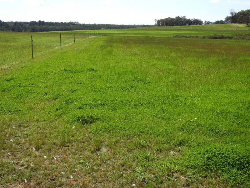 Lot 104 Bessell Road, Rosa Brook WA 6285