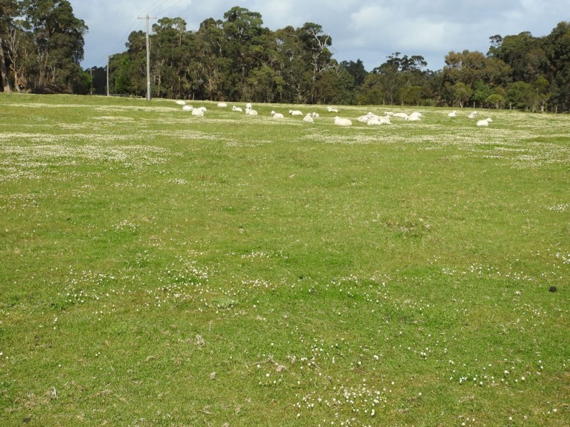 19 Lovejoy Road, Cowaramup WA 6284