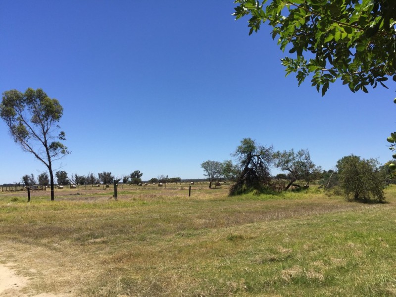 95 Causeway Road, Busselton WA 6280