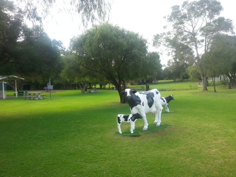 8 Tall Tree Court, Cowaramup WA 6284