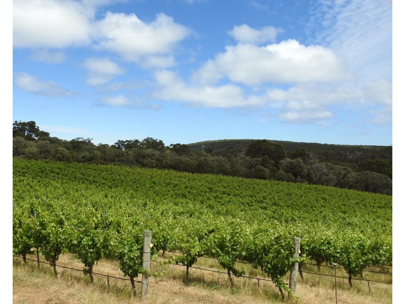 659 Boodjidup Road, Margaret River WA 6285