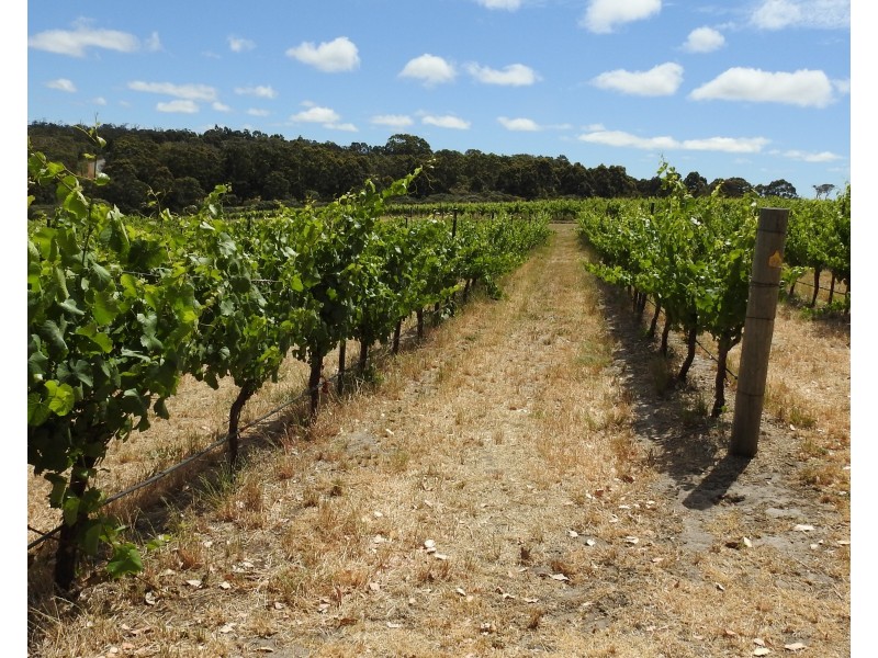 659 Boodjidup Road, Margaret River WA 6285