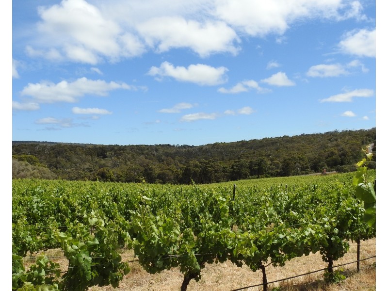 659 Boodjidup Road, Margaret River WA 6285