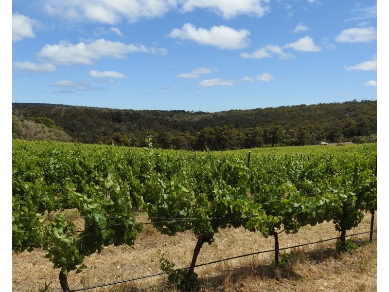 659 Boodjidup Road, Margaret River WA 6285