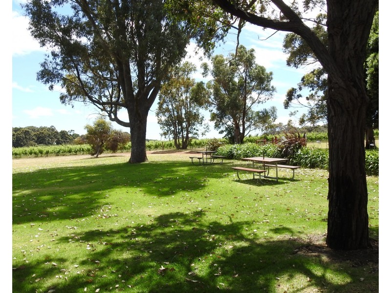 659 Boodjidup Road, Margaret River WA 6285