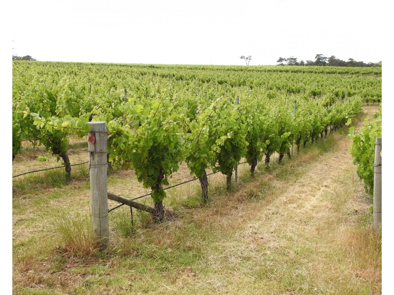 659 Boodjidup Road, Margaret River WA 6285