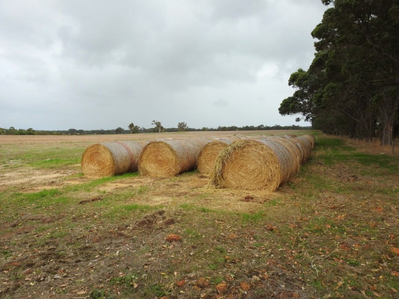 Lot 10 Patmore Road, Warner Glen WA 6288