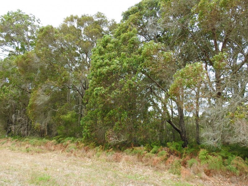 Lot 10 Patmore Road, Warner Glen WA 6288