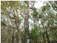 Lot 10 Patmore Road, Warner Glen WA 6288