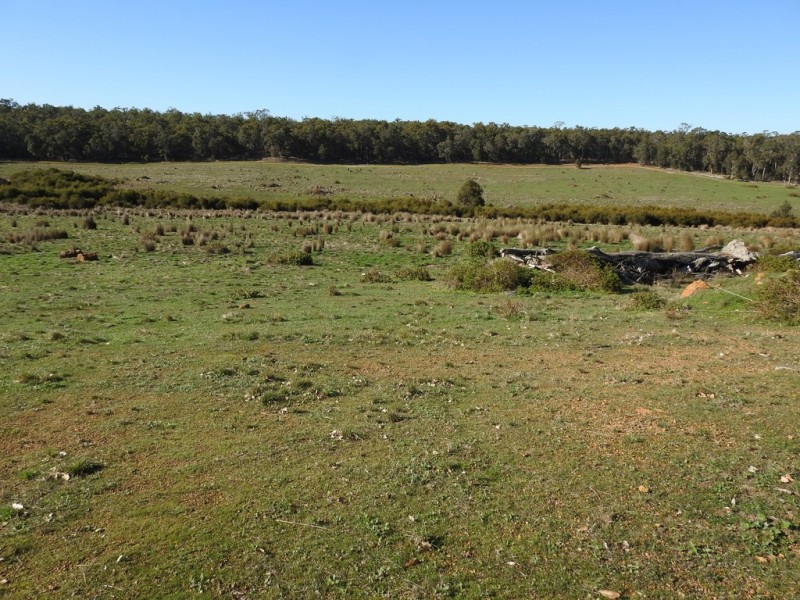 2890 Woods Road off Bramley River Road, Osmington WA 6285