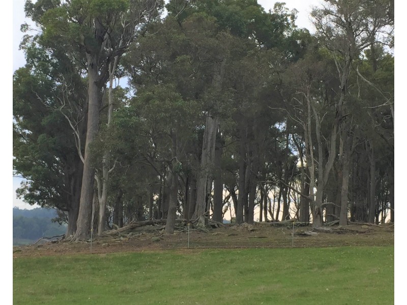 Lot 105 Bessell Road, Rosa Brook WA 6285