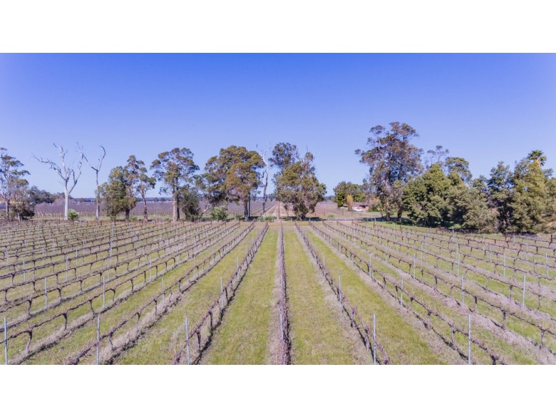 345 Payne Road, Jindong WA 6280