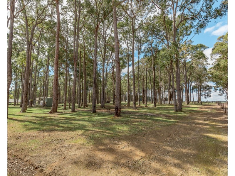 49 Williams Court (Palgarup), Manjimup WA 6258