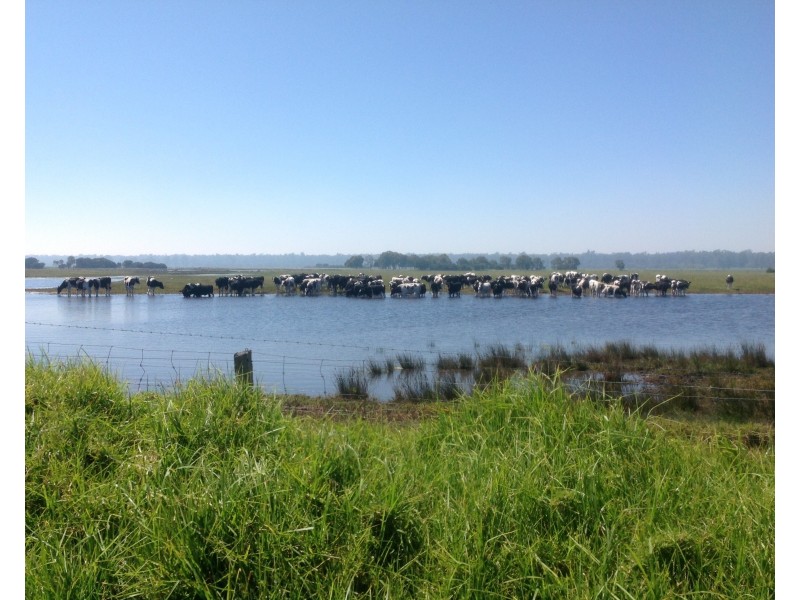 Lot 12-16 Forrest Beach Road & Lot 17 Layman Road, Wonnerup WA 6280