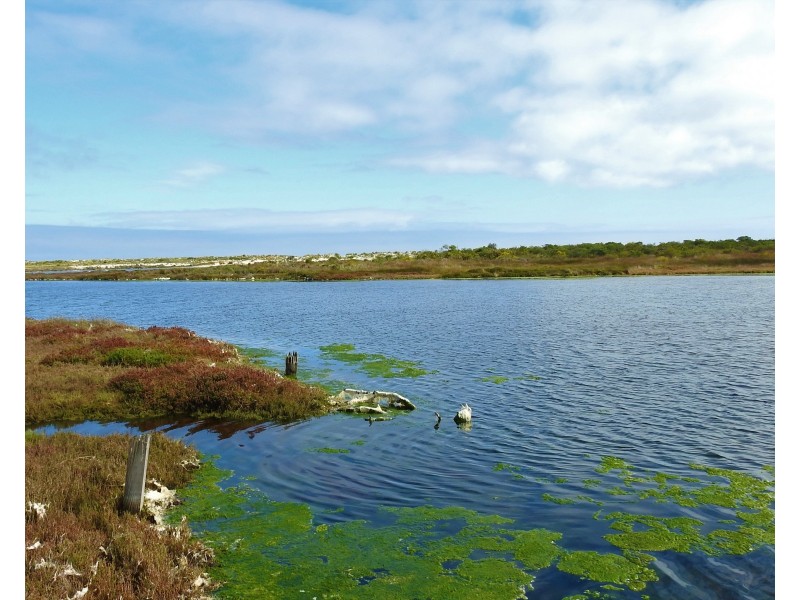 Lot 12-16 Forrest Beach Road & Lot 17 Layman Road, Wonnerup WA 6280