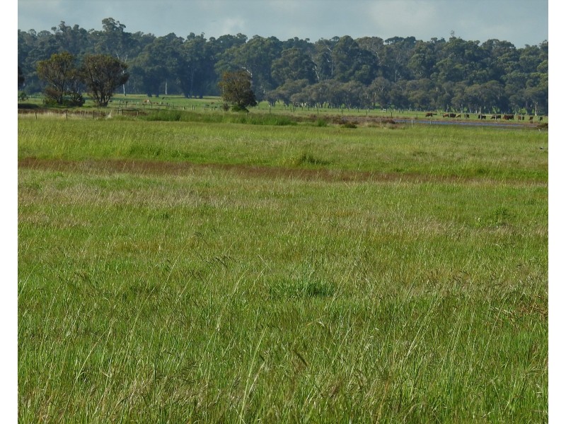 Lot 12-16 Forrest Beach Road & Lot 17 Layman Road, Wonnerup WA 6280