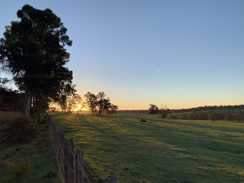Lot 11724 Junction Road, Manjimup WA 6258
