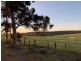 Lot 11724 Junction Road, Manjimup WA 6258
