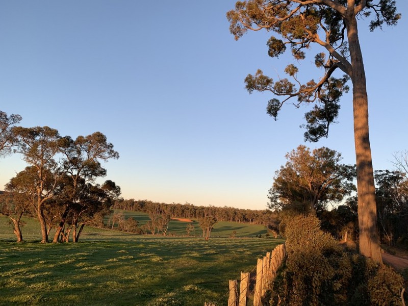 Lot 11724 Junction Road, Manjimup WA 6258
