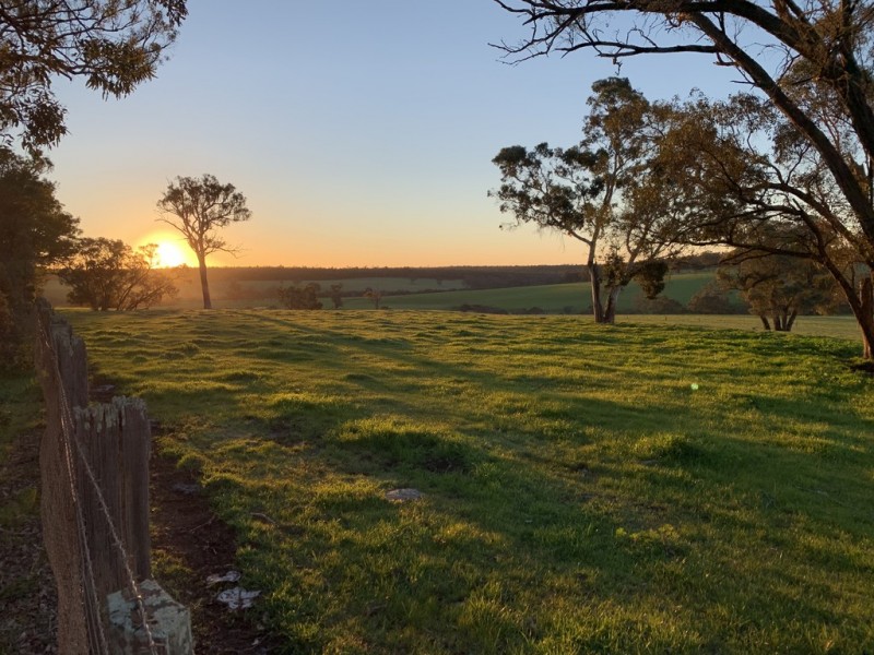 Lot 11724 Junction Road, Manjimup WA 6258