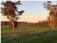 Lot 11724 Junction Road, Manjimup WA 6258