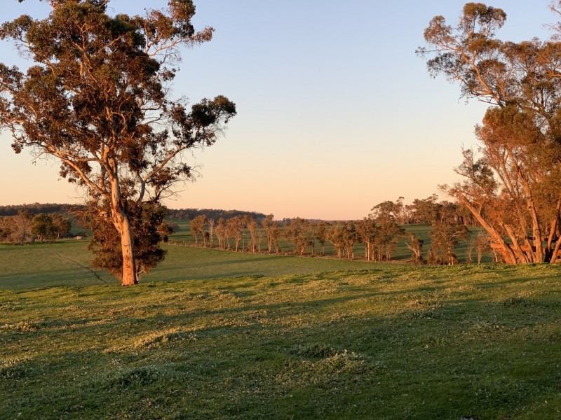 Lot 11724 Junction Road, Manjimup WA 6258