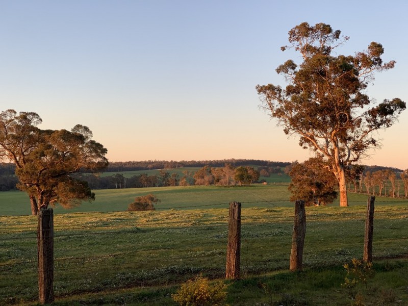 Lot 11724 Junction Road, Manjimup WA 6258