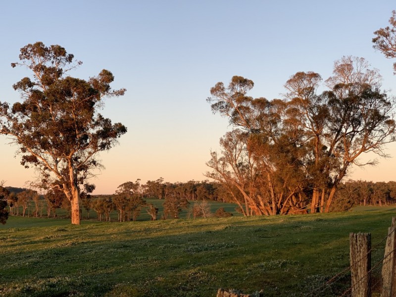 Lot 11724 Junction Road, Manjimup WA 6258