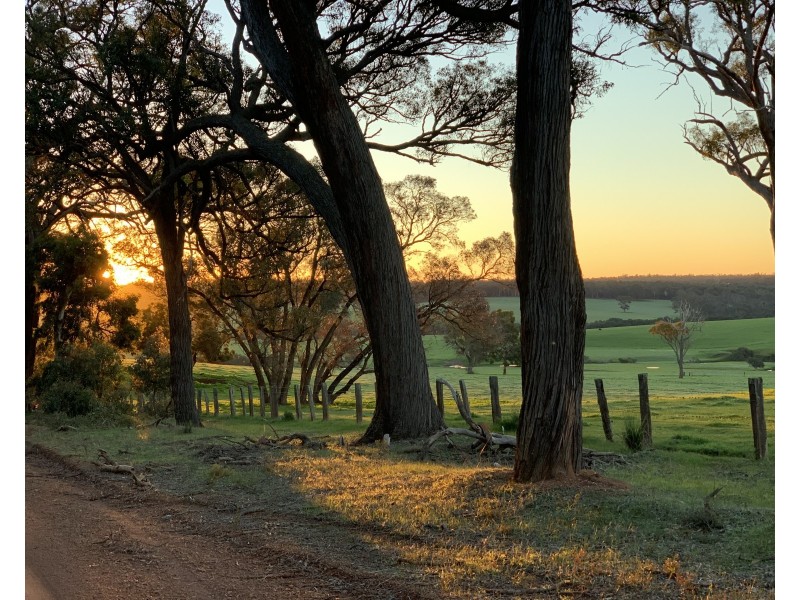 Lot 11724 Junction Road, Manjimup WA 6258