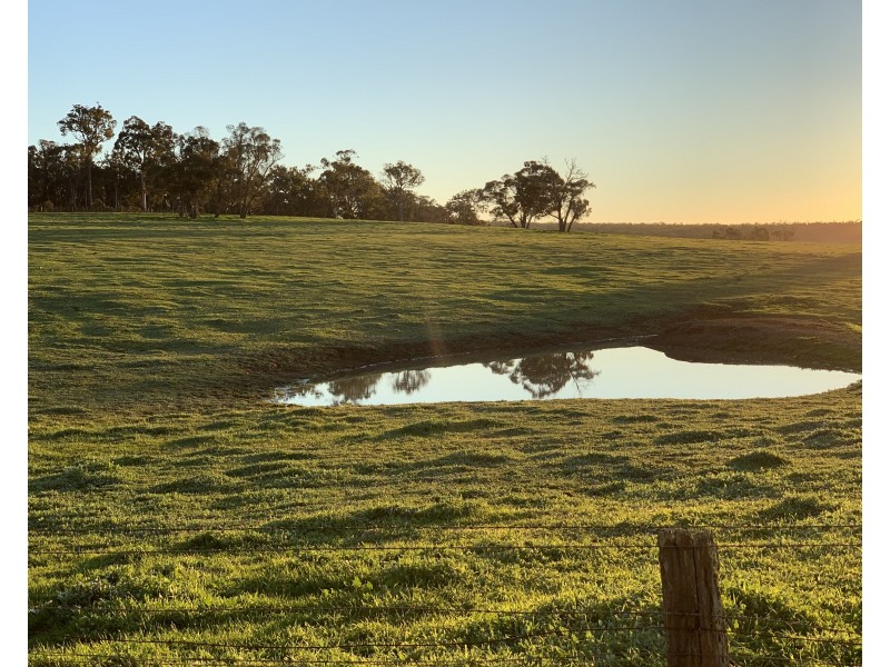 Lot 11724 Junction Road, Manjimup WA 6258