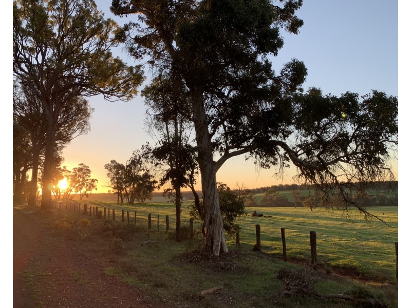 Lot 11724 Junction Road, Manjimup WA 6258