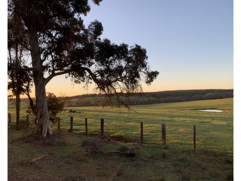Lot 11724 Junction Road, Manjimup WA 6258