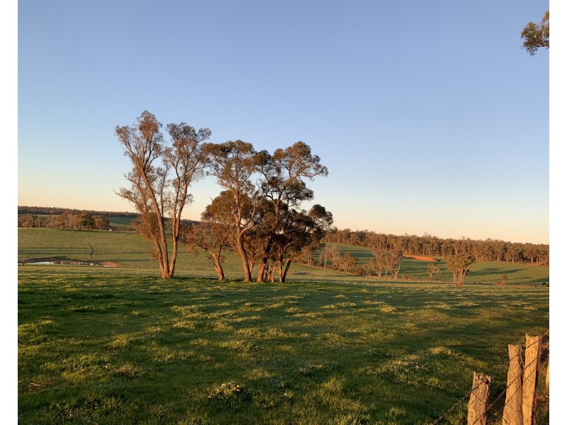 Lot 11724 Junction Road, Manjimup WA 6258