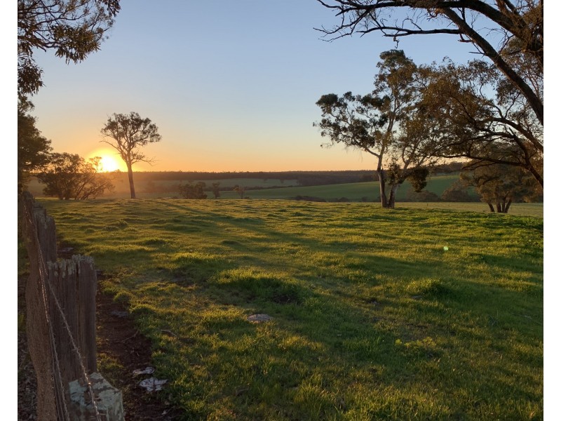 Lot 11724 Junction Road, Manjimup WA 6258