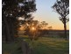 Lot 11724 Junction Road, Manjimup WA 6258