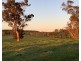 Lot 11724 Junction Road, Manjimup WA 6258