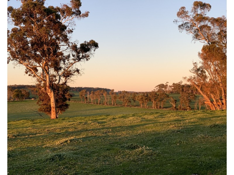 Lot 11724 Junction Road, Manjimup WA 6258