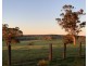 Lot 11724 Junction Road, Manjimup WA 6258