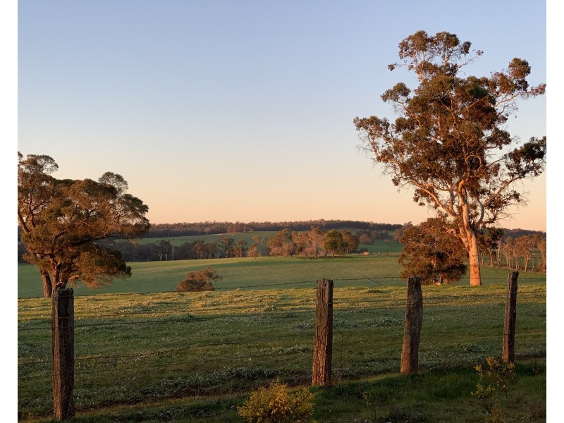 Lot 11724 Junction Road, Manjimup WA 6258
