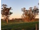 Lot 11724 Junction Road, Manjimup WA 6258