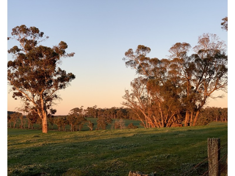 Lot 11724 Junction Road, Manjimup WA 6258