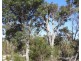 Lot 21 Chambers Road, Carbunup River WA 6280
