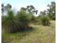 Lot 21 Chambers Road, Carbunup River WA 6280