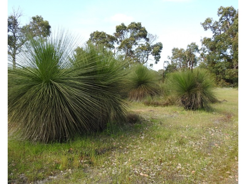 Lot 21 Chambers Road, Carbunup River WA 6280