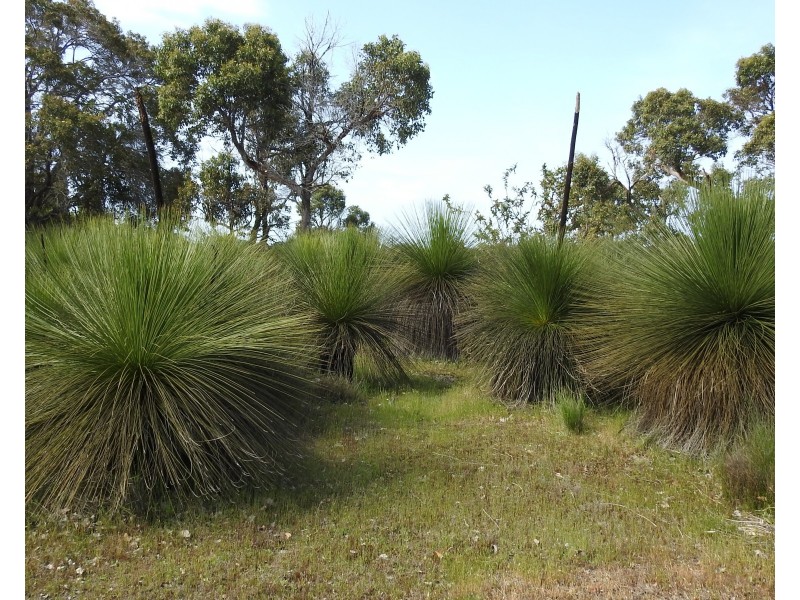 Lot 21 Chambers Road, Carbunup River WA 6280