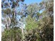 Lot 21 Chambers Road, Carbunup River WA 6280