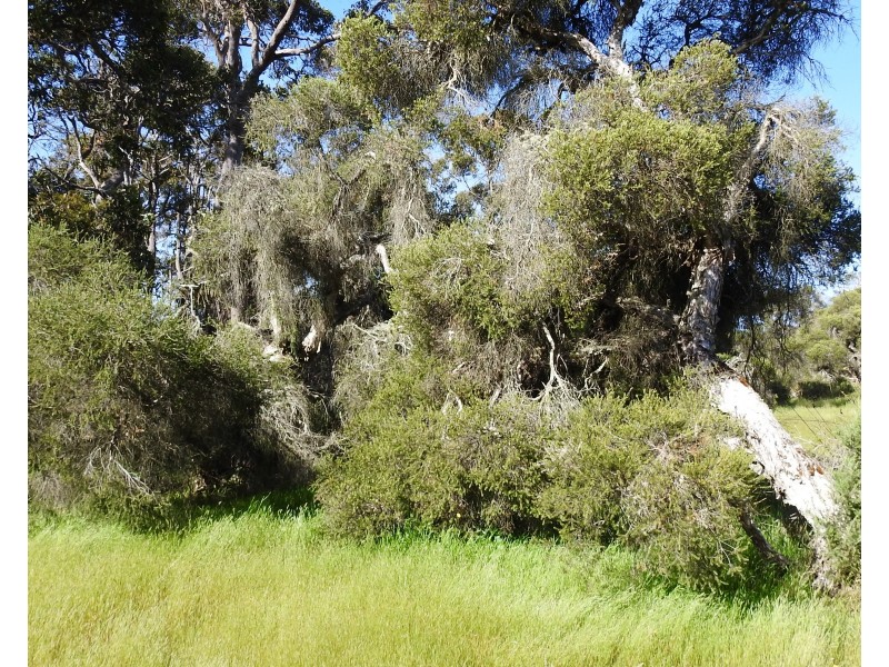 Lot 21 Chambers Road, Carbunup River WA 6280