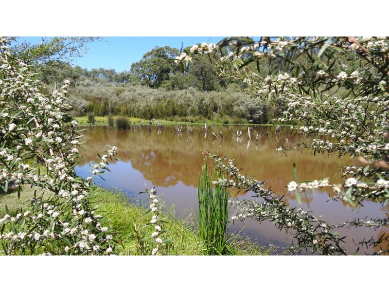 175 Barrett Road, Rosa Brook WA 6285